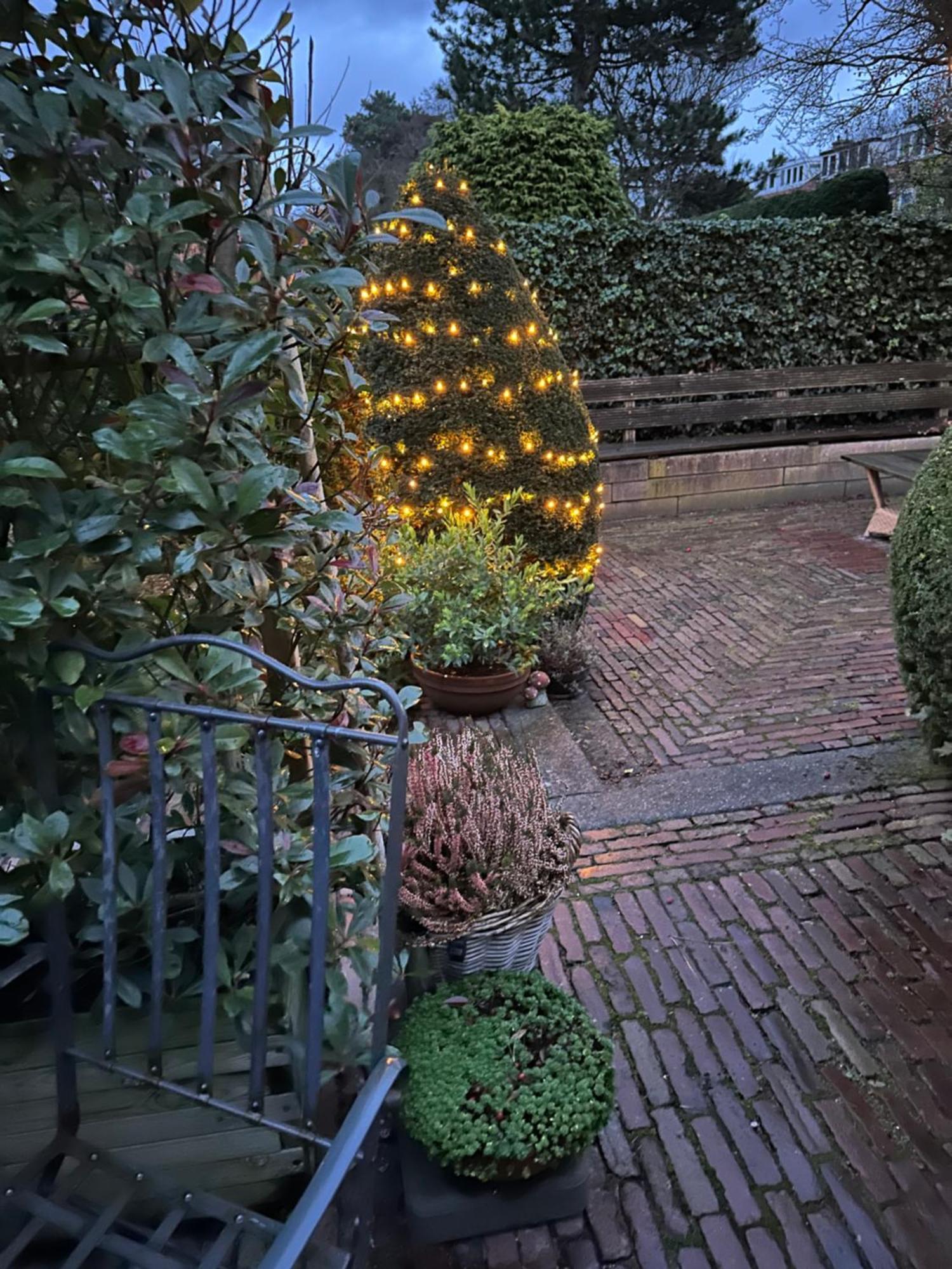 B&B Ereprijs La Haya Exterior foto